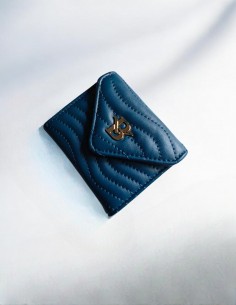 Dhyana wallet 2